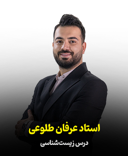 عرفان طلوعی