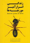 کتاب زندگی اسرارآمیز مورچه‌ها