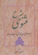 شرح مثنوی (جلد ۵)