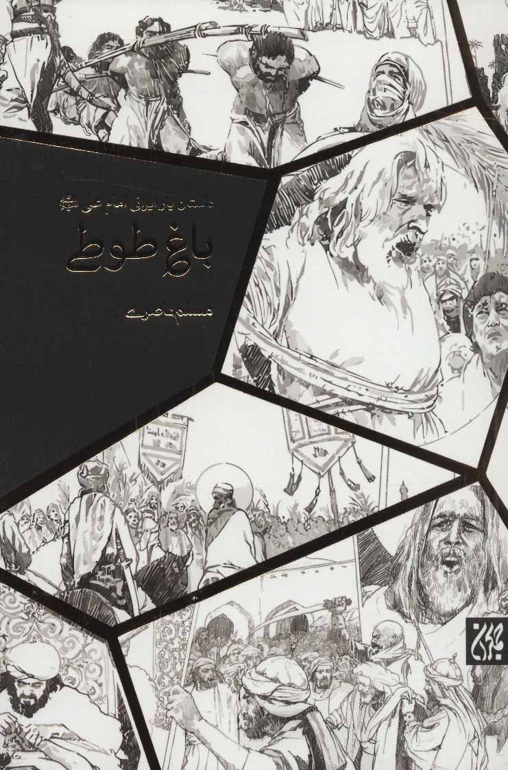 طرح جلد کتاب باغ طوطی کتاب باغ طوطی