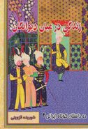 زندگی در میان دیوانگان