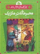 محرمانه در مکزیک