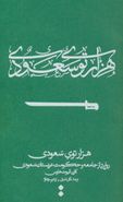 کتاب هزارتوی سعودی