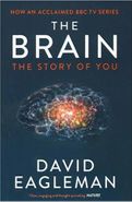 کتاب The Brain