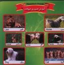 کتاب آموزش تصویری حیوانات