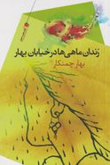 زندان ماهی‌ها در خیابان بهار