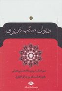 کتاب دیوان صائب تبریزی (۲جلدی)