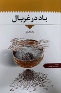 باد در غربال