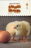 کتاب یک فنجان دانستنی دربارهٔ تخم‌ها و جوجه‌ها