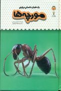 کتاب یک فنجان دانستنی دربارهٔ مورچه‌ها