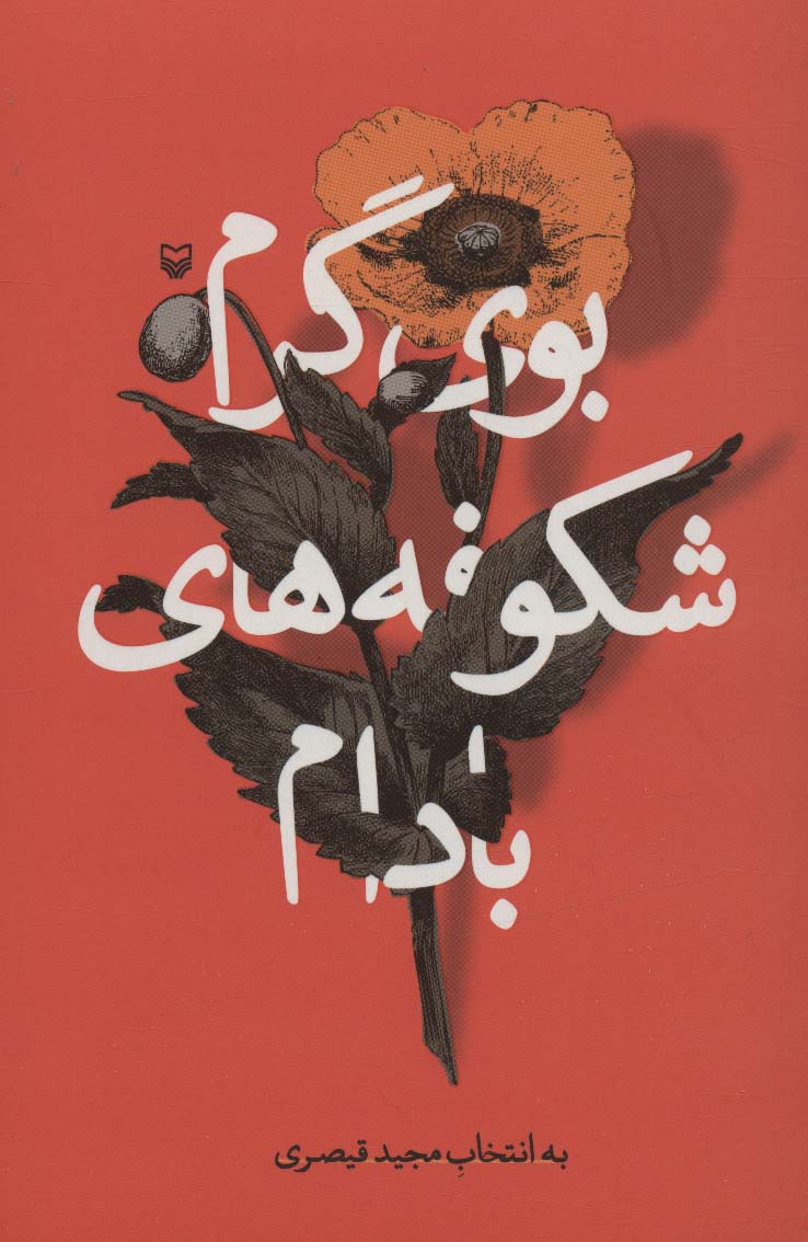 طرح جلد کتاب بوی گرم شکوفههای بادام کتاب بوی گرم شکوفههای بادام