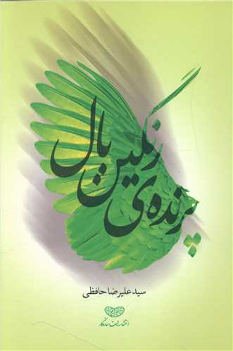 طرح جلد کتاب پرندهٔ رنگین بال: رمان نوجوان کتاب پرندهٔ رنگین بال: رمان نوجوان