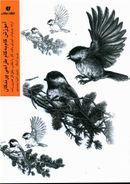 کتاب آموزش گام به گام طراحی پرندگان