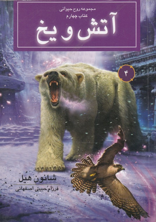 آتش و یخ