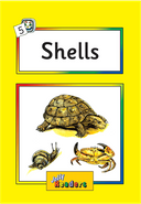 کتاب Shells