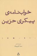 خواب‌نامهٔ پیکری حزین