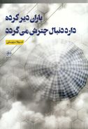 باران دیر کرده دارد دنبال چترش می‌گردد