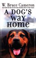 A Dogs Way Home