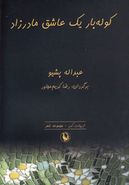 کوله‌بار یک عاشق مادرزاد (مجموعه شعر)